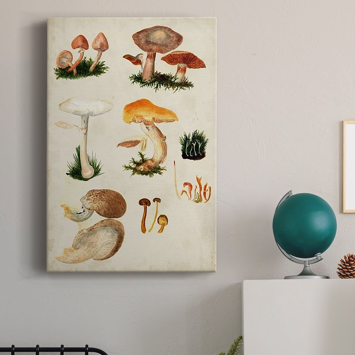Mushroom Species IV Premium Gallery Wrapped Canvas - Ready to Hang