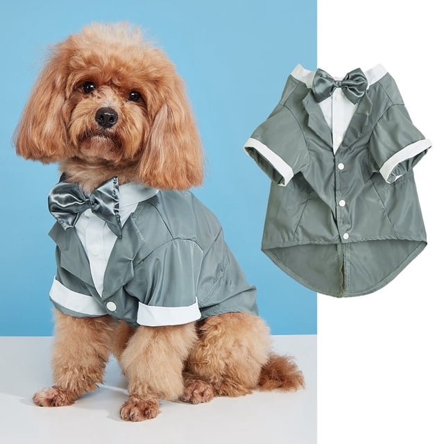 Xiao Hua Camiseta para perro y gato, camisetas transpirables para mascotas, sudadera para cachorro, ropa para perro, abrigos para perros pequeños, medianos y gatos, XXL, A44