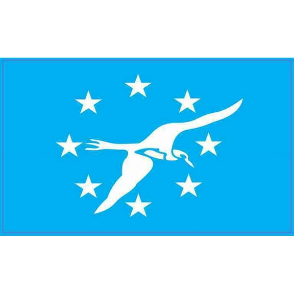 6x3 City Of Corpus Christi Texas Flag Magnet Bumper Magnets Vinyl Magnetic