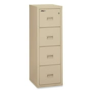 4 DR TURTLE 22" Fire-Resistant FILE