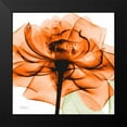 thumbnail image 2 of Koetsier, Albert 20x20 Black Modern Framed Museum Art Print Titled - Orange Rose, 2 of 5
