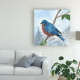 thumbnail image 3 of Trademark Fine Art 'Eastern Songbird IV' Canvas Art by Alicia Ludwig, 3 of 3