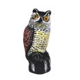 thumbnail image 1 of señuelo espantapájaros resistente decoración de patio materiales realistas para primera ligero Sunnimix Señuelo de cuervo simulado, 1 of 7