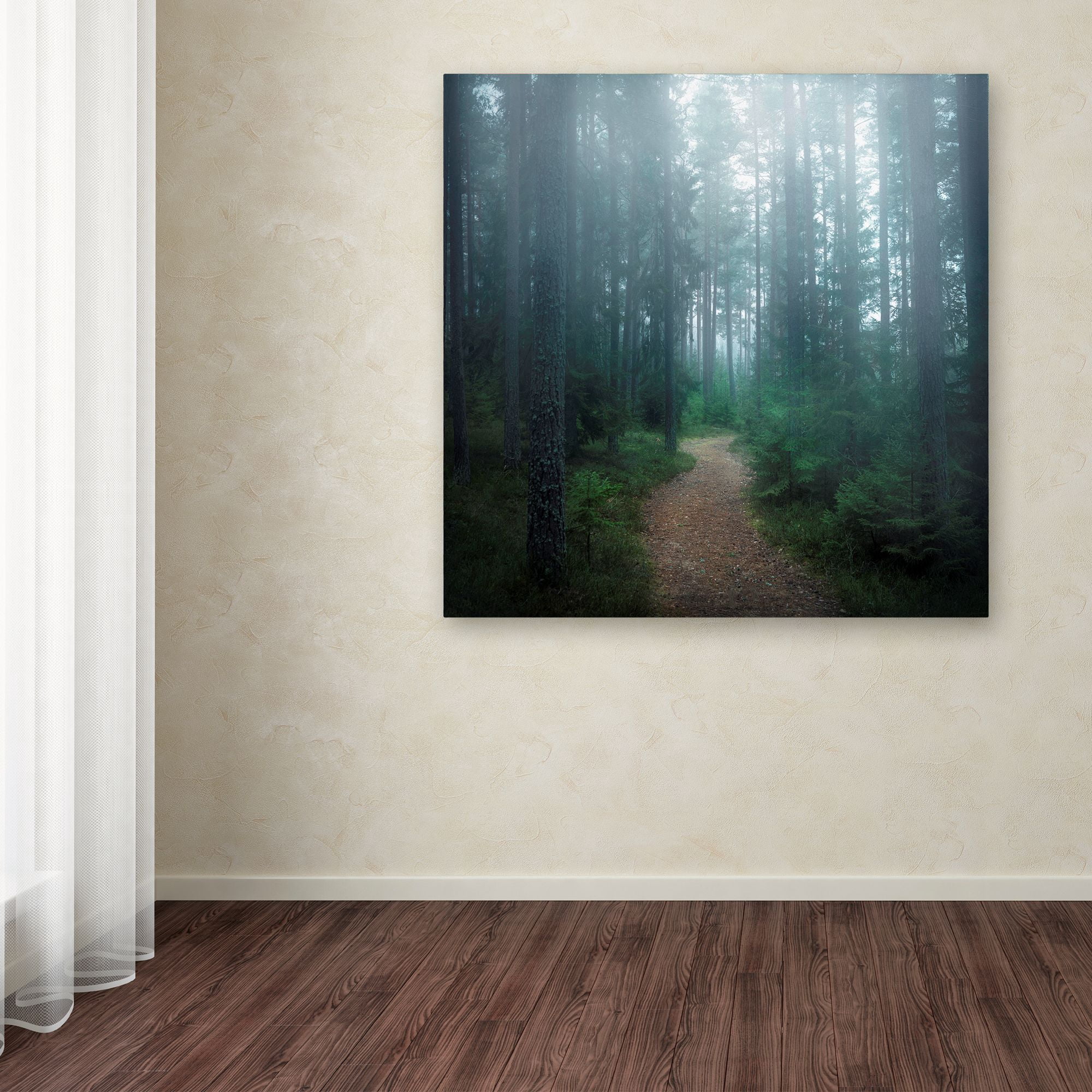 Trademark Fine Art 'The Forest Of Secrets' Canvas Art by Christian Lindsten