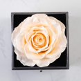 thumbnail image 4 of Preserved Real Rose with Silver-Tone Heart Necklace I Love You in 100 Languages Gift Set, Enchanted Real Rose Flower for Valentine's Day Anniversary Wedding Romantic Gifts for her (Red with Gold), 4 of 15