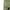Green, variant on KAUOD Men Outdoor Cargo Pant Lightweight Tactical Pant Hiking Jogger Classic Fit Multi Pockets 2024 Handsome Sports Casual Pants