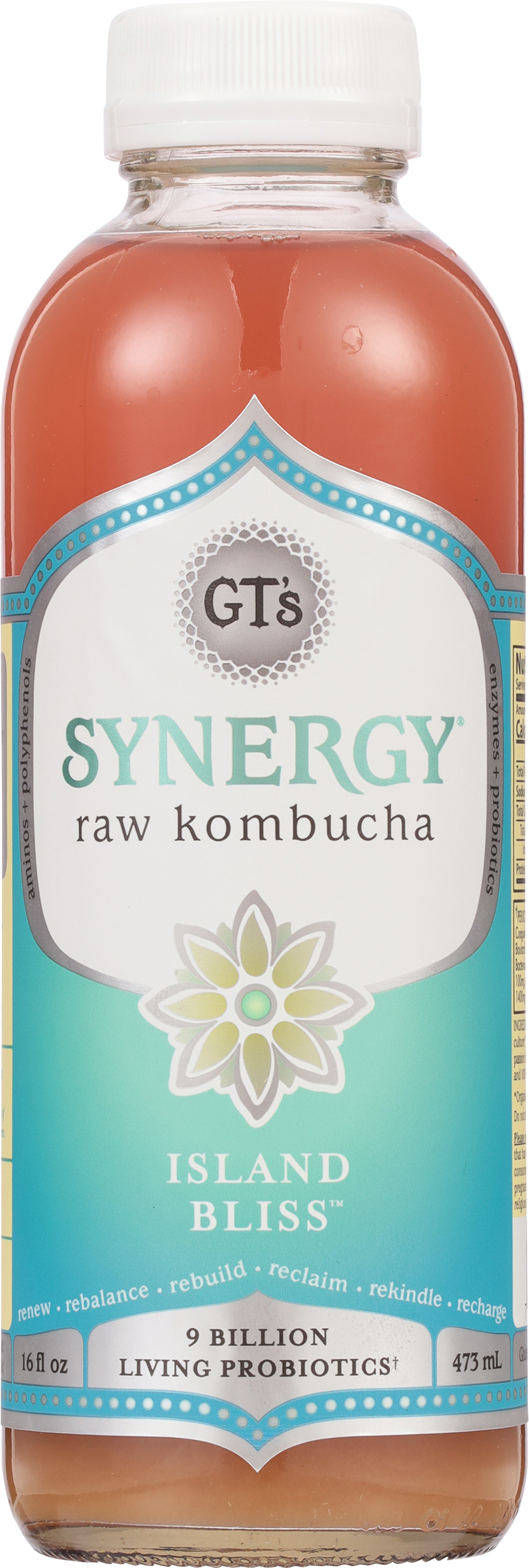 GT's Synergy Kombucha Organic Island Bliss, Refrigerated, 16 fl oz - image 4 of 5