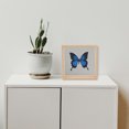 thumbnail image 3 of Miangastore Photo Frame Acrylic Natural Wood Color 1Set 7Inch Inner Diameter, 3 of 9