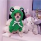 thumbnail image 5 of Billuyoard Sudadera con capucha para perro, ropa para mascotas, buena elasticidad, disfraz de fruta, chaqueta, sudadera para perros Type6 NO6, 5 of 6