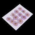 thumbnail image 4 of 12x Flores secas prensadas Flor de invierno real para álbumes de recortes de púrpura cro Sunnimix Flores secas prensadas reales, 4 of 8