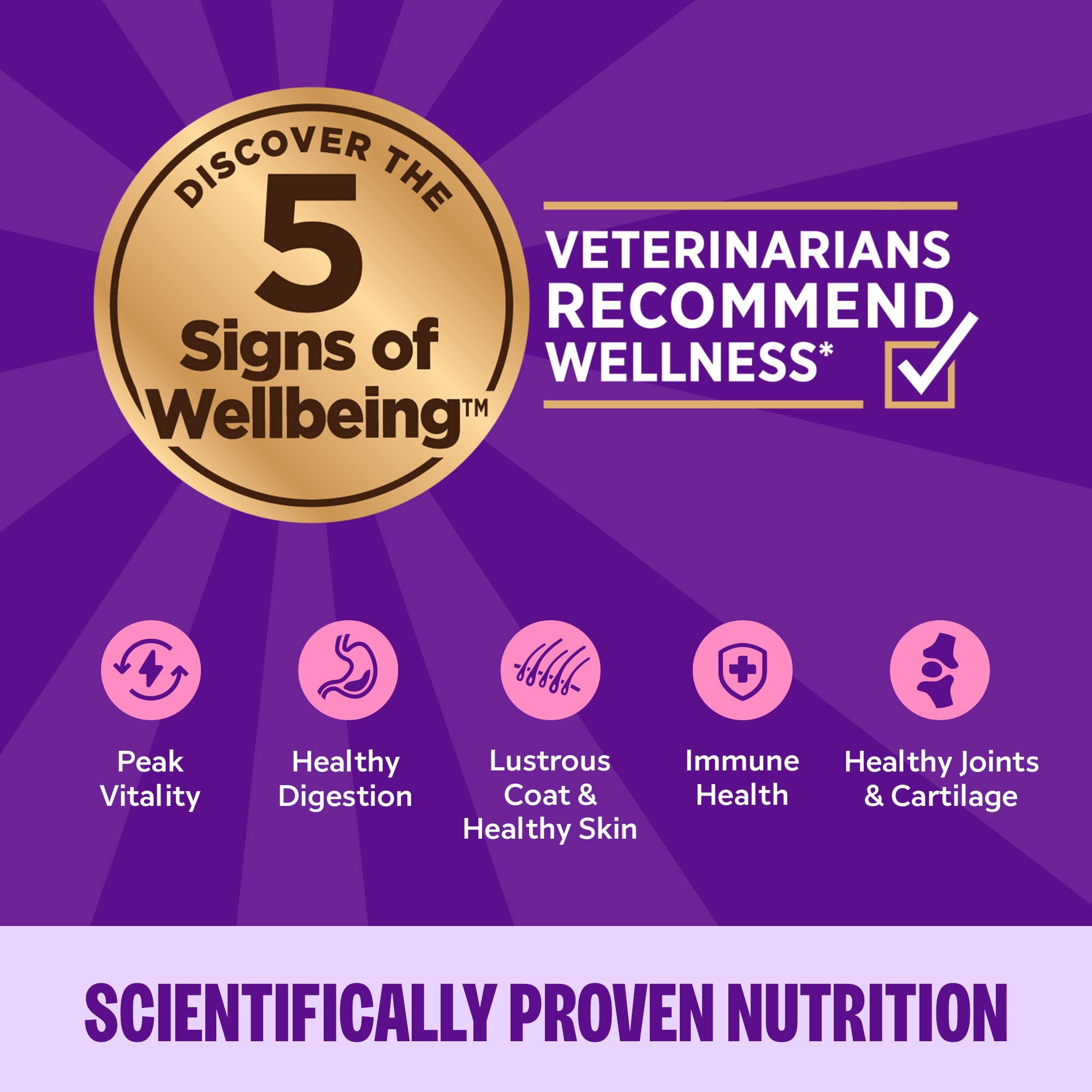 (12 pack) Wellness Complete Health Gravies Adult Canned Wet Cat Food, Natural, Protein Rich, Grain Free, Chicken Entrée Recipe, 3 oz, Pack of 12 Cans