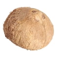 thumbnail image 2 of Coco de agua por pieza, 2 of 3