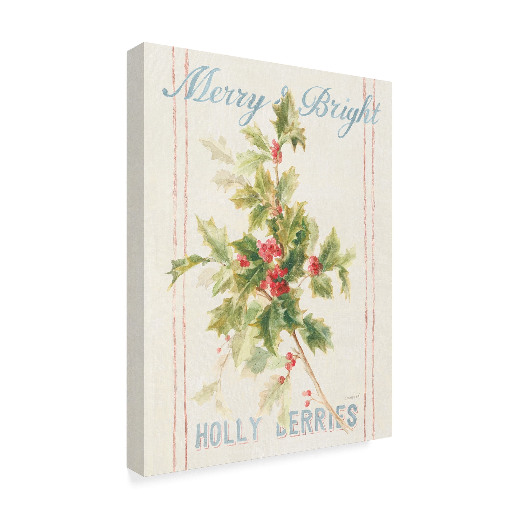 Trademark Fine Art 'Floursack Holiday I' Canvas Art by Danhui Nai