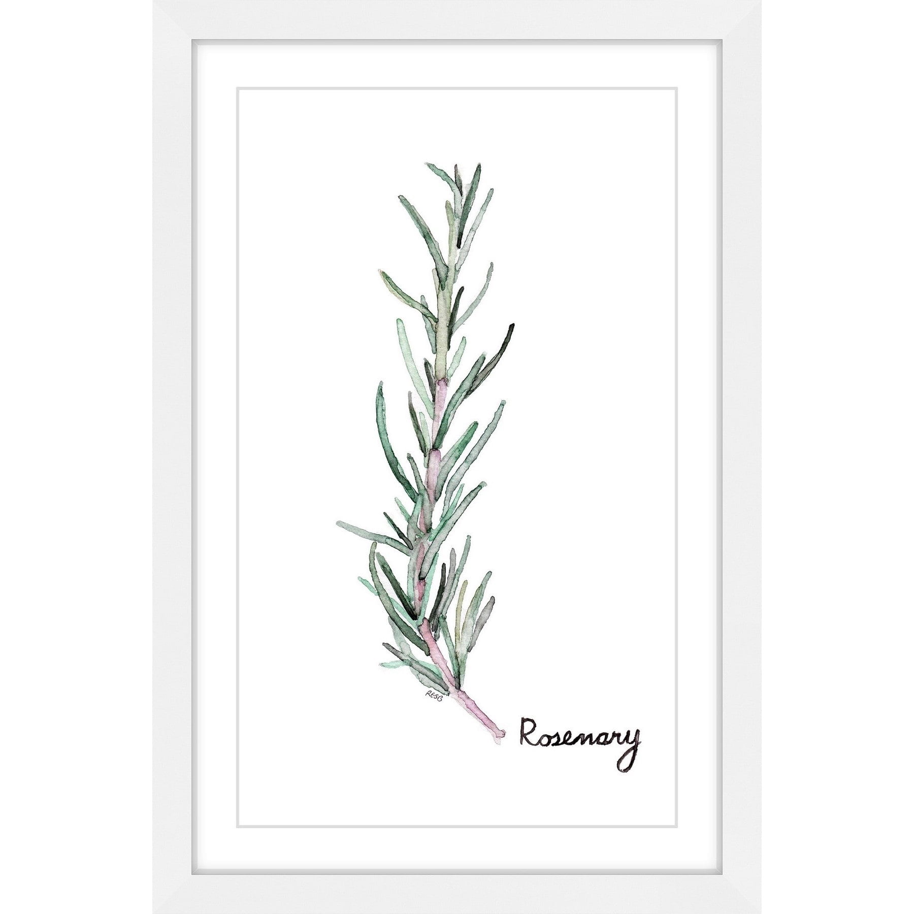 "Herb Rosemary" by Rachel Byler Framed Painting Print