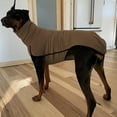 thumbnail image 3 of Pet clothes Dog warm high collar bound two-piece, 3 of 6