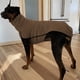 thumbnail image 3 of Ropa para mascotas Perro cálido cuello alto atado de dos piezas, 3 of 6