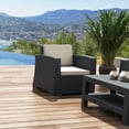 thumbnail image 4 of Compamia Monaco Outdoor Club Chair in Dark Gray with Cushion, 4 of 15