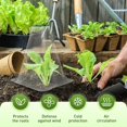 thumbnail image 3 of Campana reutilizable mejorada de Garden Cloches Koujut 2025 (20 cm, transparente), 3 of 9