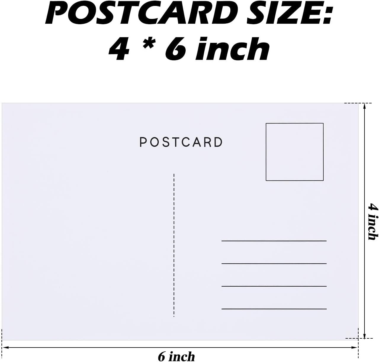 Postcard Wild Animal Bird Seasonal Landscapes Funny Postcards 20 Designs for Teacher Thank You Note Cards (Fun Facts)
