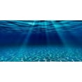 thumbnail image 6 of Natural Undersea Aquarium Background, Underwater Ocean Sunlight Fish Tank Background Aquarium Decorations Poster with 8 EVA Double-Sided Tape, 6 of 6