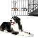 thumbnail image 1 of Platos de Acero Inoxidable Petmaker en Plata para Mascotas con Ganchos, 1 of 6