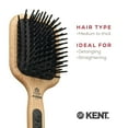 thumbnail image 6 of Kent PF19 Beechwood Cushion Paddle Brush - Scalp Massager and Detangler Brush - The Hair Brush for Thick Hair - Scalp Massager Hair Growth Stimulator - Hair Detangler Brush and Curly Hair Brush, 6 of 6