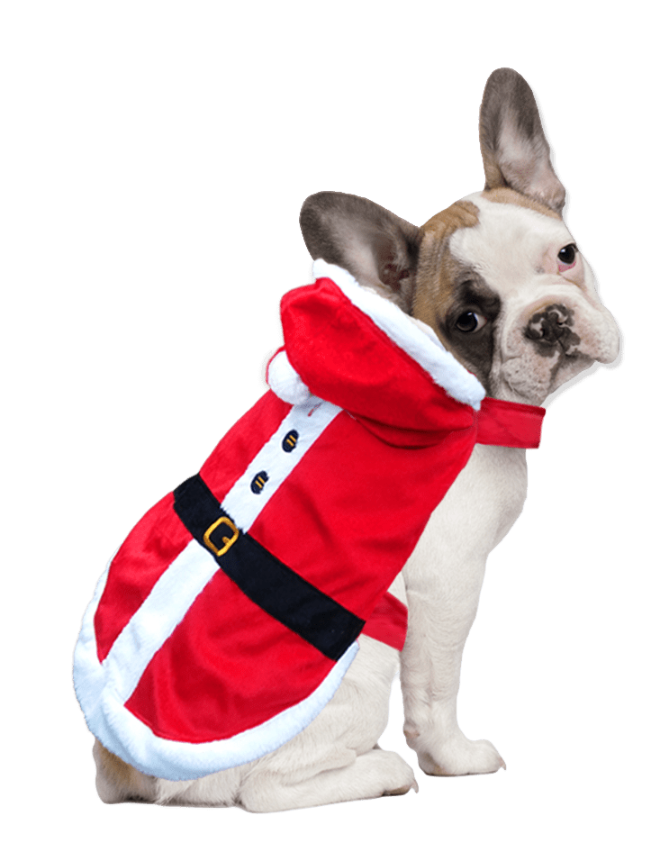 Holiday Time Santa Dog Jacket, Red, Small