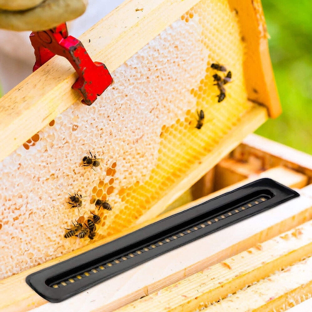 40X Black Small Bee Hive Beetle Blaster BeeHive Beetle Trap Beekeeping Tool