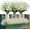 White, variant on 8 Bundles Artificial Daffodils Flowers, Fake Artificial Greenery UV Resistant No Fade Faux Plastic Plants for Wedding Bridle Bouquet Indoor Outdoor Home Garden Kitchen Office Table Vase (Blue)