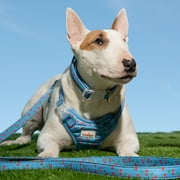 Oodles Blue Tart Cherries Quilted Adjustable Dog Harness, Small