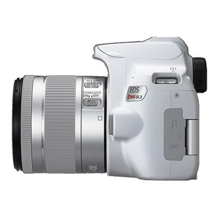 Canon - EOS R Mirrorless 4K Video Camera with RF 24-105mm f/4L IS USM Lens
