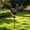 D5_Purple 15.3", variant on Veeogra Orange Solar Flower Stake Lights,Crackle Globe Glass Solar Lamp,Tulip Lotus Solar Led Lights,Lawn Walkway Yard Patio Flower Bed Outdoor Landscape,Garden Gifts For Mom & Women,15.3"