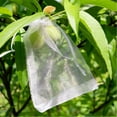 thumbnail image 2 of Huayishang Fresh-Keeping Bag 100Pc Insect and Bird Proof Fruit Bag 10*15Cm Gold B, Kitchen Essentials Clearance Sale Gold, 2 of 9
