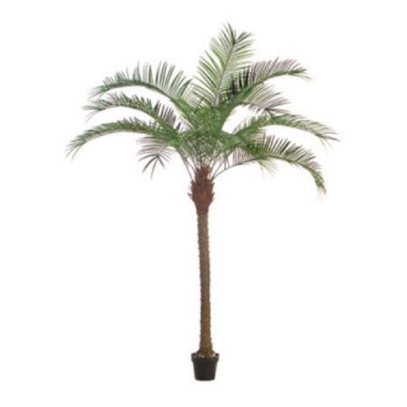 Corel - Planta Decorativa Palmera Pheonix 180 Cm