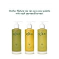 thumbnail image 3 of 2 Pcs OSEA Undaria Alga Body Oil / 5 oz / Formule Raffermissante et Éclatante / Algue Vegan, 3 of 6