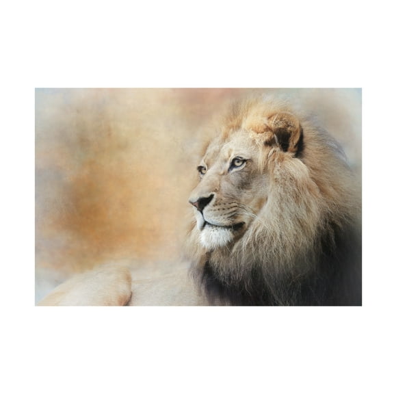 Trademark Fine Art Linda D Lester In Deep Thought Canvas Wall Art