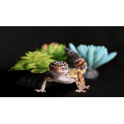 Komodo Artificial Green and Blue Plastic Succulent Plants with Gravel Base, 3 Pack, Aquarium Decor