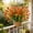 Red, variant on Fmbmuo UV Resistant Artificial Calla Lilies Bouquet Plastic Flowers for Outdoor Home Garden Decor 2 Stems ,Yellow