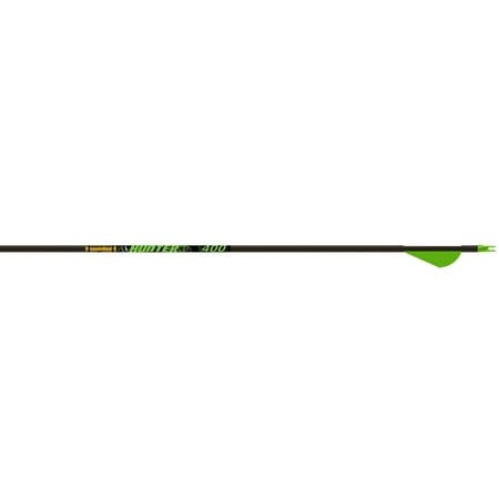 Gold Tip Arrow Hunter Xt 300 - 2 Raptor Vanes 1/2doz