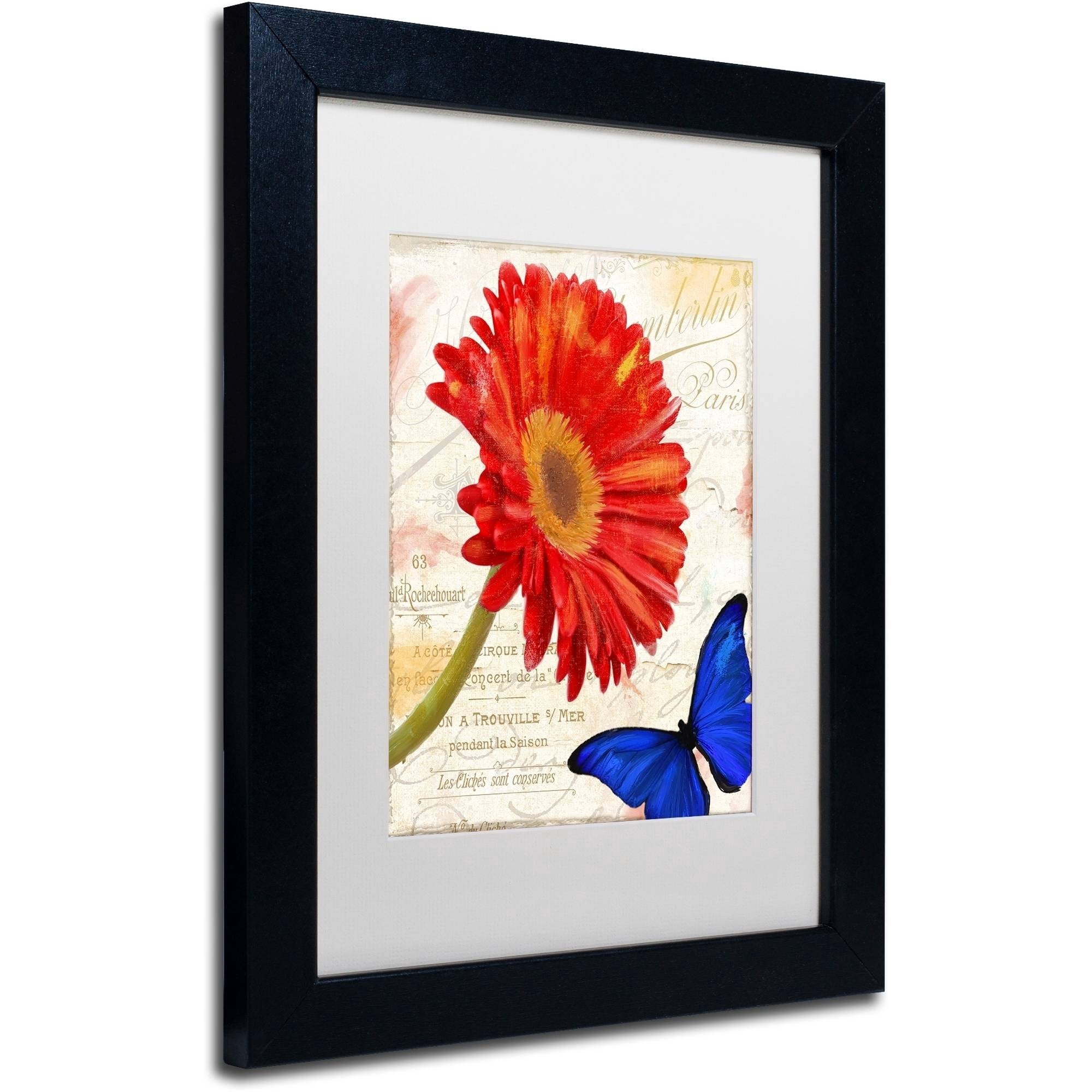 Trademark Fine Art "Gerbera Daisy" Canvas Art by Color Bakery White Matte, Black Frame