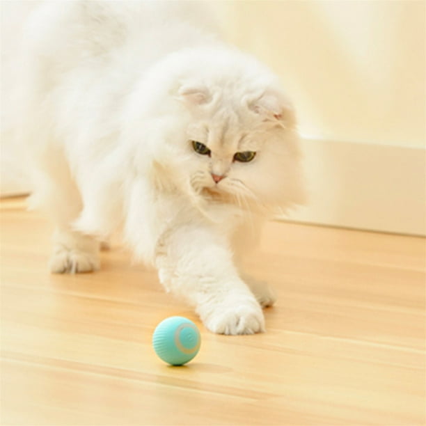 Cat toys walmart canada top