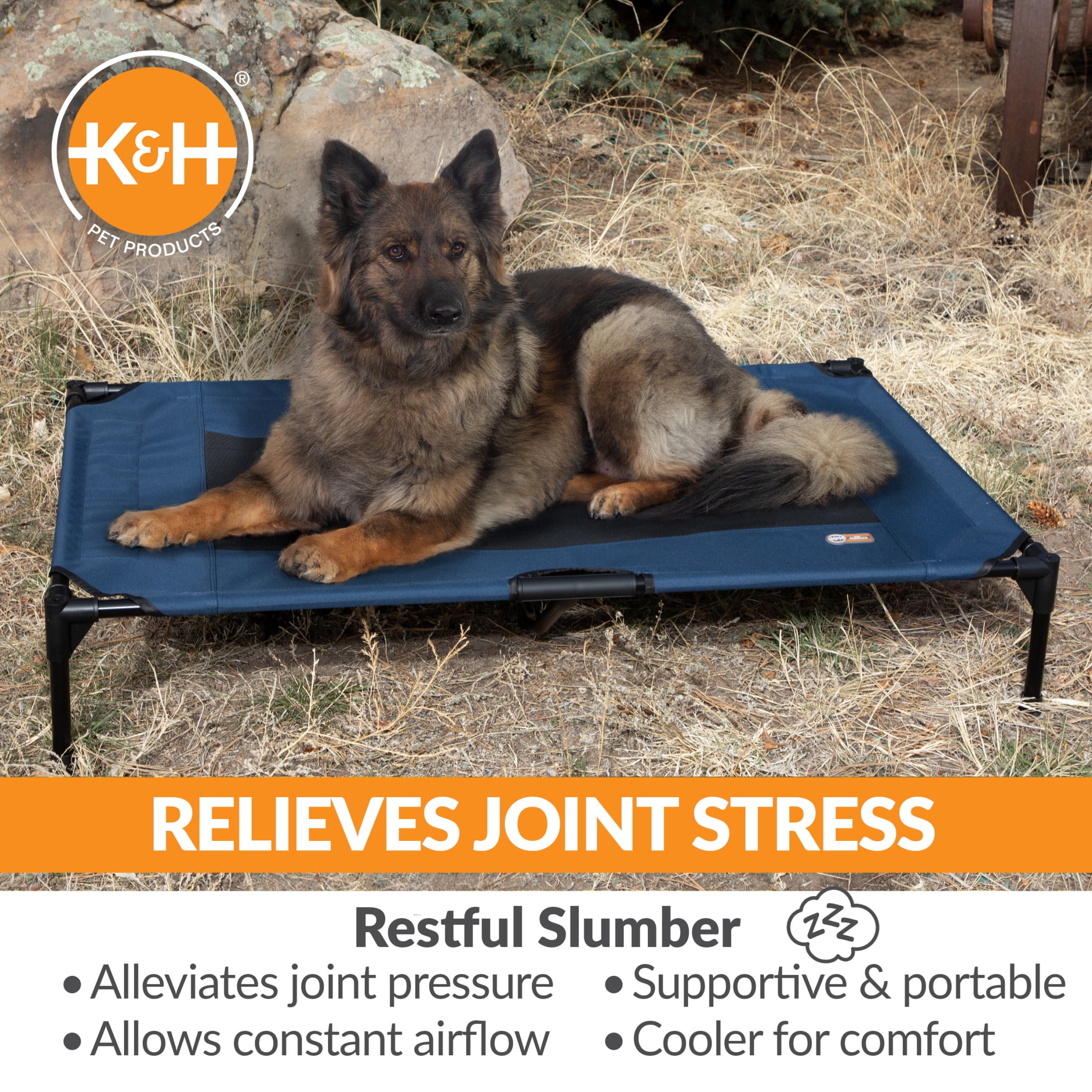 K&H Pet Products Original Pet Cot Elevated Dog Bed Blue/Black Mesh X-Large 50 X 32 X 9 Inches