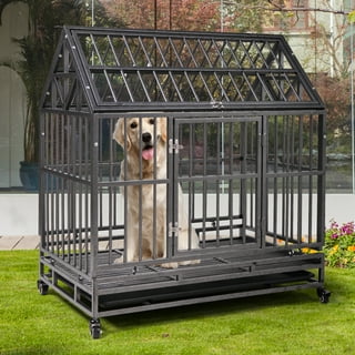Extra large dog hotsell crate with divider