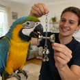 thumbnail image 6 of Bird Toys - Metal Bell Toy, Chew Play Item with Hanging Chain, for Large Parrots African Grey Cockatoo Macaw Conure Lovebird, Durable Interactive Play Item (Long), 6 of 7