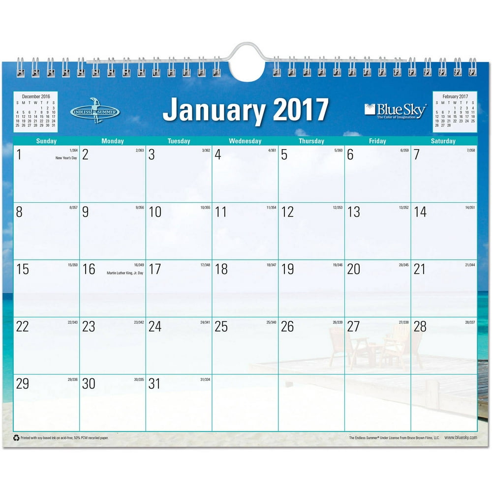 Blue Sky Endless Summer 11" x 8.75" Monthly Wall Calendar, 2017