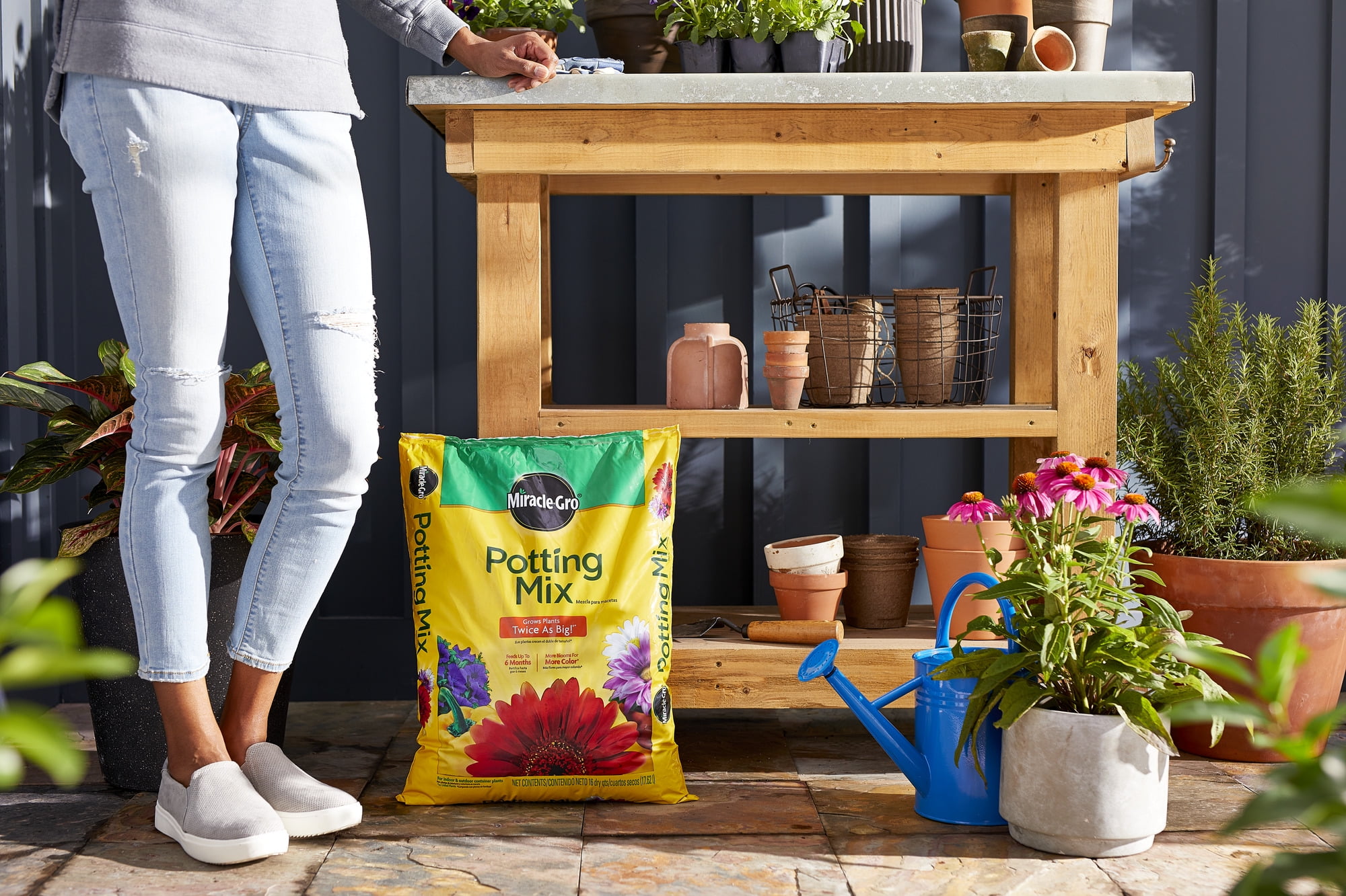 Miracle-Gro Potting Mix 16 qt., 2-Pack, Feeds Up to 6 Months, For Use In Containers