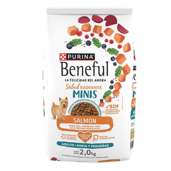 Alimento seco para perro Purina Beneful Adulto Minis Salmón 2kg
