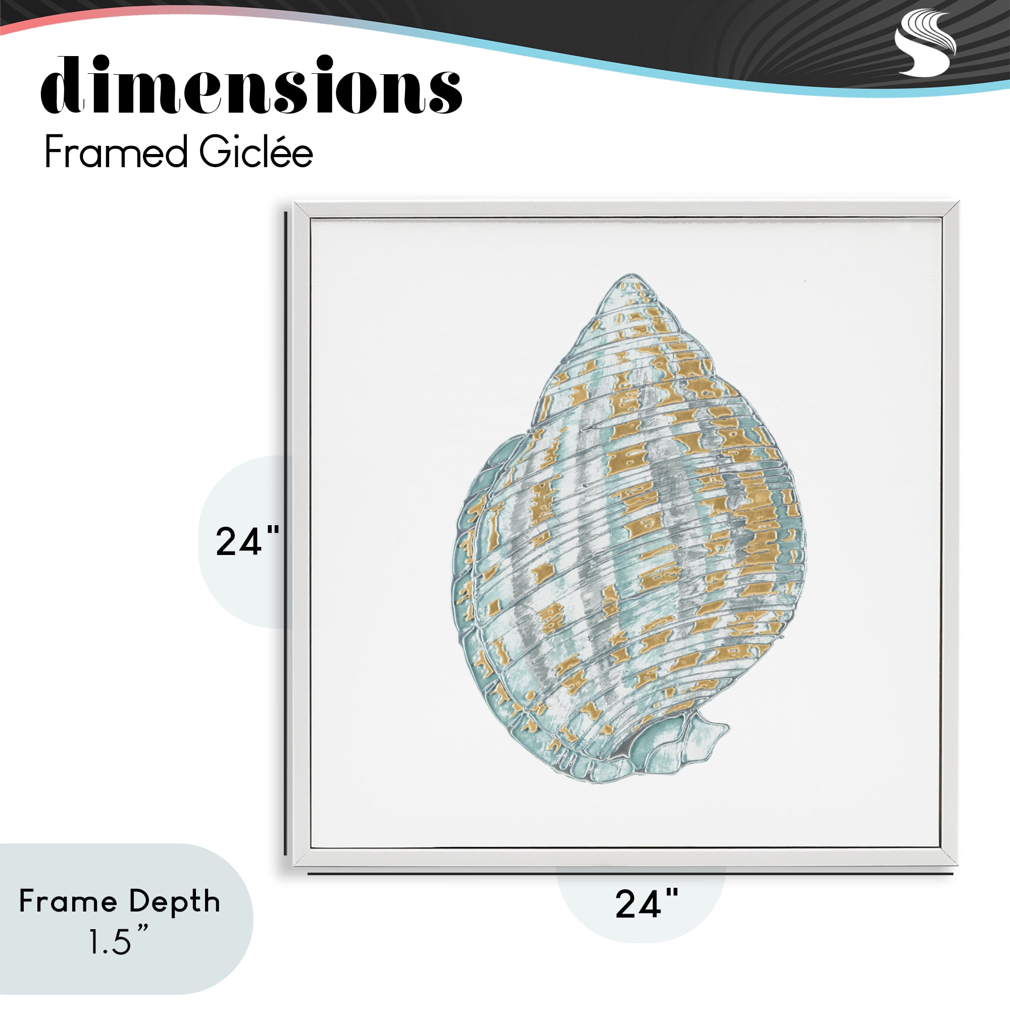 Stupell Industries Regal Shells Spiral White Framed Giclee Art, design by Lorenzo Collective