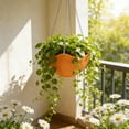 thumbnail image 5 of Self Watering Hanging Planter with Chain, Indoor Outdoor Hanging Basket with Drainage, Perfect for Balcony Garden Planting and Decorative Gift, 5 of 6