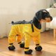 thumbnail image 1 of Pantalones Para Perros Botas impermeables para perros de 1 pieza con suela antideslizante para caminar,correr y hacer senderismo al aire libre (Amarillo,XL) Rkxzt, 1 of 8